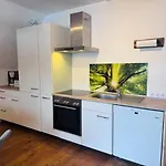 Apartmán Menzenschwand Schwarzwald Geissentalblick Mit Balkon Und Infrarot, Ruhe Und