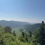 Menzenschwand Schwarzwald Geissentalblick Mit Balkon Und Infrarot, Ruhe Und Apartmán *