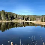 Apartmán Menzenschwand Schwarzwald Geissentalblick Mit Balkon Und Infrarot, Ruhe Und St. Blasien