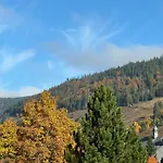 Apartmán Menzenschwand Schwarzwald Geissentalblick Mit Balkon Und Infrarot, Ruhe Und St. Blasien
