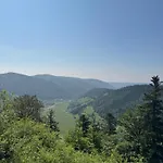 Menzenschwand Schwarzwald Geissentalblick Mit Balkon Und Infrarot, Ruhe Und Apartmán *