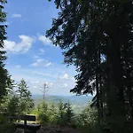 Menzenschwand Schwarzwald Geissentalblick Mit Balkon Und Infrarot, Ruhe Und Apartmán *