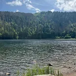 Menzenschwand Schwarzwald Geissentalblick Mit Balkon Und Infrarot, Ruhe Und Apartmán *