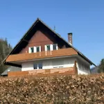 Apartmán Menzenschwand Schwarzwald Geissentalblick Mit Balkon Und Infrarot, Ruhe Und