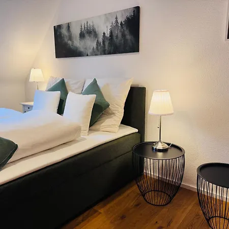 Apartmán Menzenschwand Schwarzwald Geissentalblick Mit Balkon Und Infrarot, Ruhe Und *