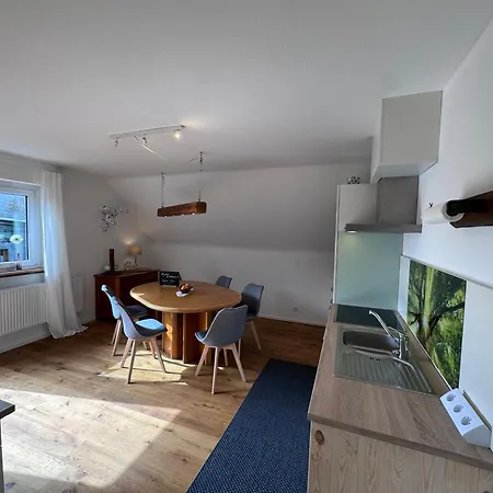Appartement Geissentalblick Menzenschwand Ruhe, Natur & Infrarot *