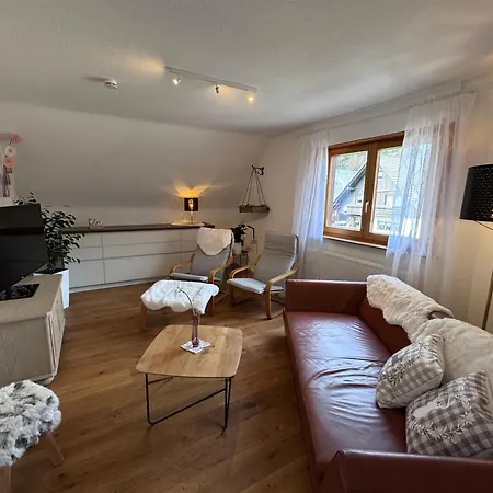 Geissentalblick Menzenschwand Ruhe, Natur & Infrarot Appartement *