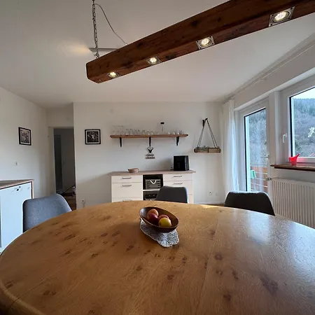 Apartmán Menzenschwand Schwarzwald Geissentalblick Mit Balkon Und Infrarot, Ruhe Und