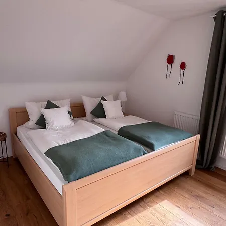 Appartement Geissentalblick Menzenschwand Ruhe, Natur & Infrarot