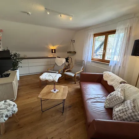 Appartement Geissentalblick Menzenschwand Ruhe, Natur & Infrarot *