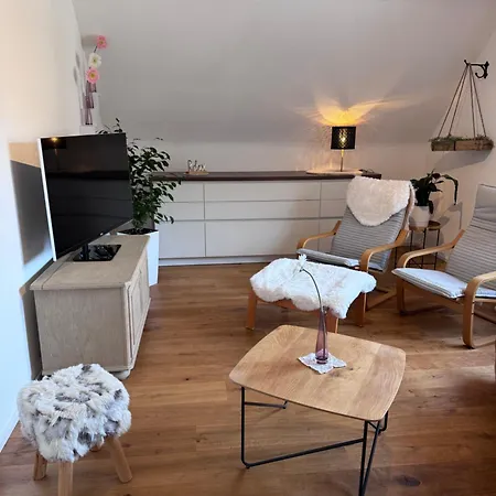 Geissentalblick Menzenschwand Ruhe, & Infrarot Appartement