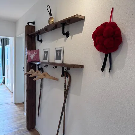 Appartement Geissentalblick Menzenschwand Ruhe, & Infrarot