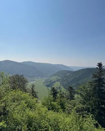 Geissentalblick Menzenschwand Ruhe, Natur & Infrarot Appartement *