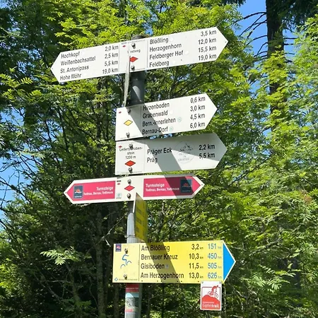Geissentalblick Menzenschwand Ruhe, & Infrarot