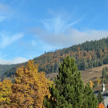 Appartement Geissentalblick Menzenschwand Ruhe, Natur & Infrarot St. Blasien