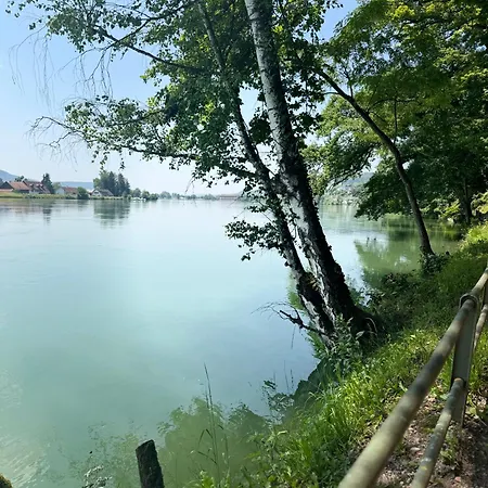 Geissentalblick Menzenschwand Ruhe, & Infrarot St. Blasien
