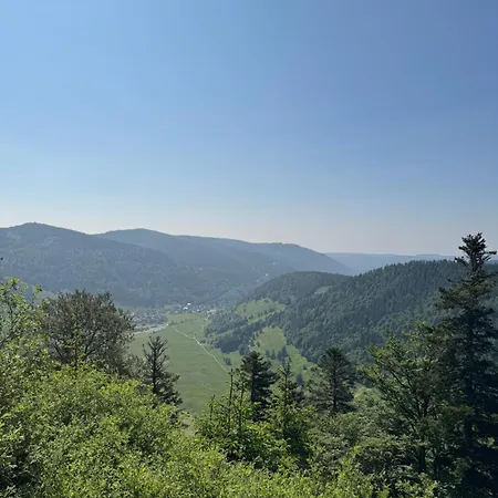 Geissentalblick Menzenschwand Ruhe, & Infrarot Appartement *