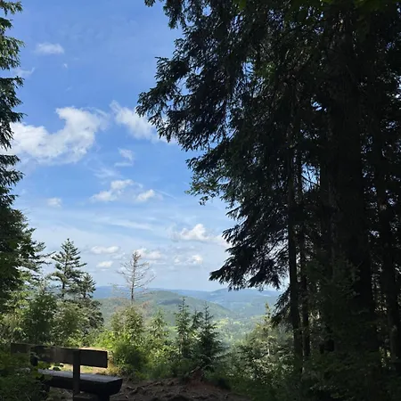 Geissentalblick Menzenschwand Ruhe, & Infrarot Appartement *