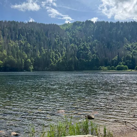 Geissentalblick Menzenschwand Ruhe, & Infrarot Appartement *