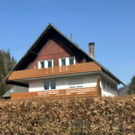 Appartement Geissentalblick Menzenschwand Ruhe, Natur & Infrarot