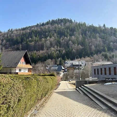 Appartement Geissentalblick Menzenschwand Ruhe, Natur & Infrarot