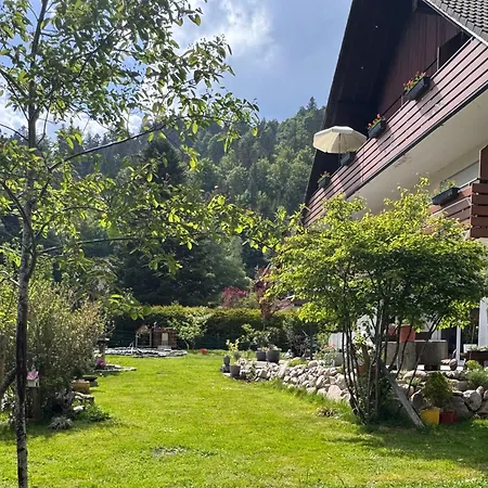 Geissentalblick Menzenschwand Ruhe, & Infrarot * ザンクト・ブラージエン