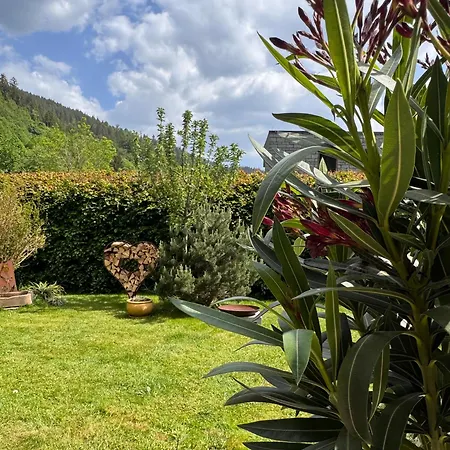 Geissentalblick Menzenschwand Ruhe, & Infrarot *