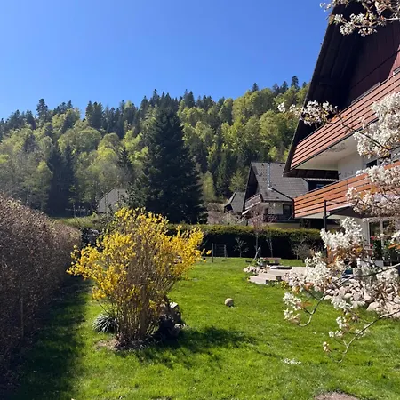 アパート Geissentalblick Menzenschwand Ruhe, & Infrarot *