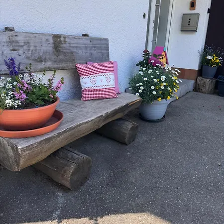 Geissentalblick Menzenschwand Ruhe, & Infrarot アパート