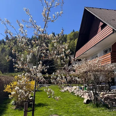 Geissentalblick Menzenschwand Ruhe, & Infrarot ザンクト・ブラージエン